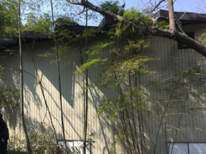 宮城県名取市