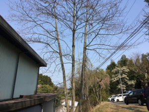 宮城県名取市